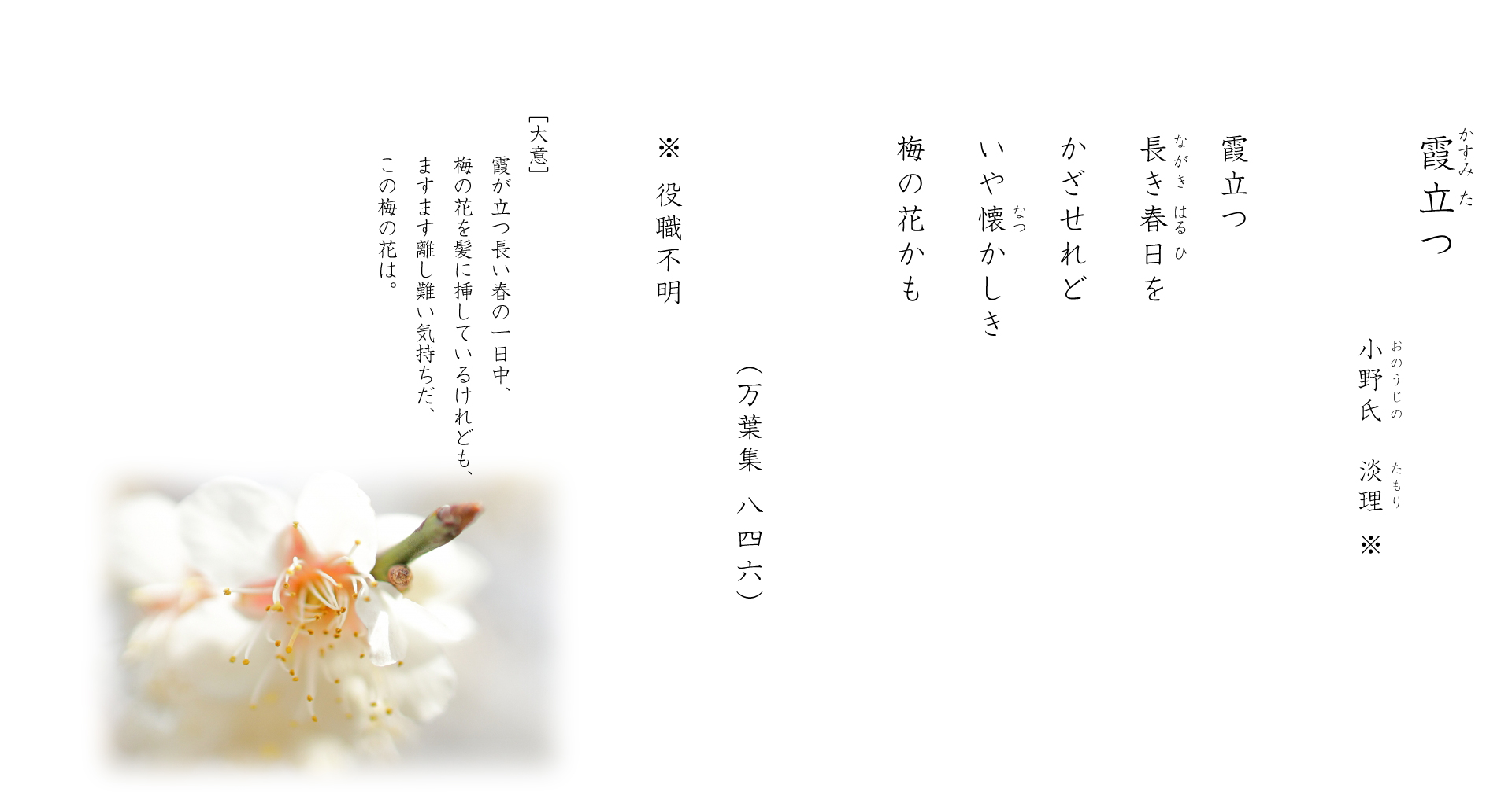 霞立つ(かすみたつ)万葉集八四六