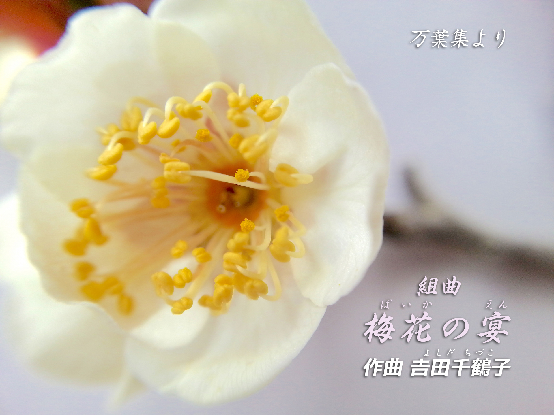 万葉集より組曲ばいかのえん