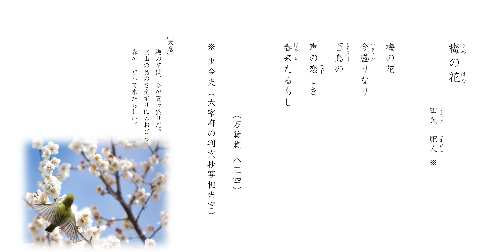 梅の花（うめのはな)万葉集八三四